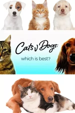 Cats v Dogs: Which is Best?