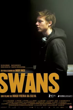 Swans