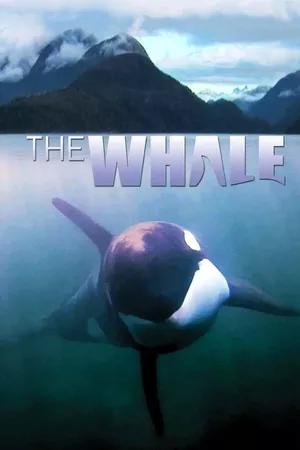 The Whale