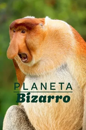 Planeta Bizarro