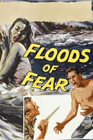 Floods of Fear