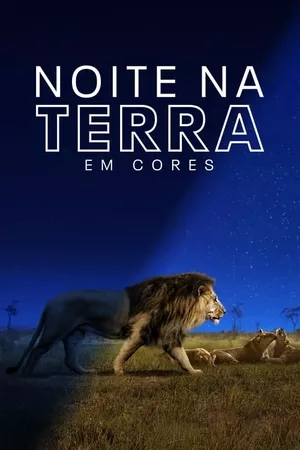 Noite na Terra em Cores