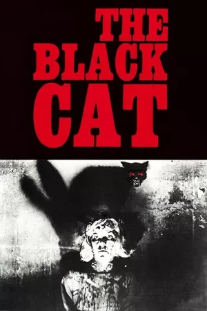 The Black Cat