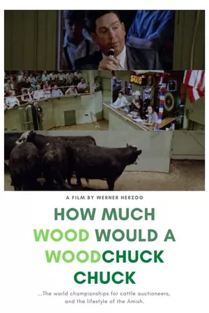 How Much Wood Would a Woodchuck Chuck