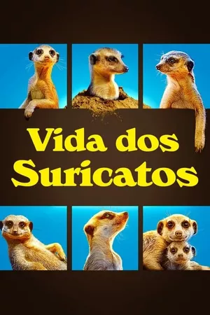 Vida dos Suricatos