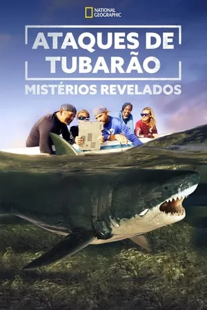 Ataques de Tubarão: Mistérios Revelados