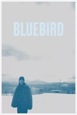 Bluebird