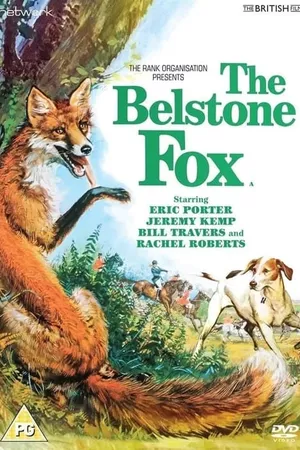 The Belstone Fox