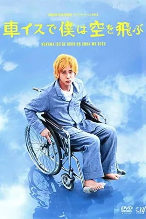 I Will Fly to the Sky on a Wheelchair