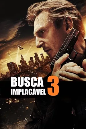 Busca Implacável 3