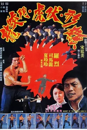 Secret of Chinese Kung Fu