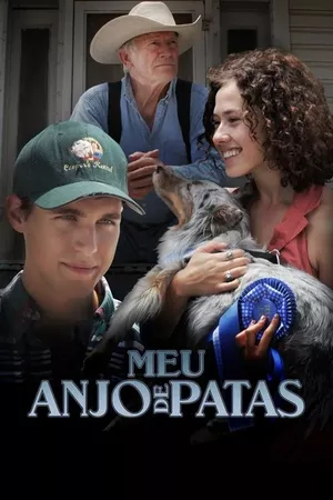 Meu Anjo de Patas