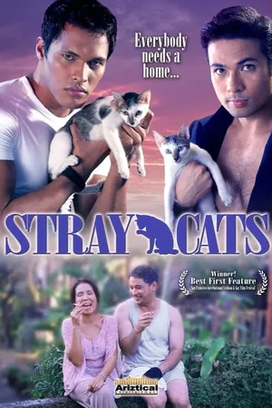 Stray Cats