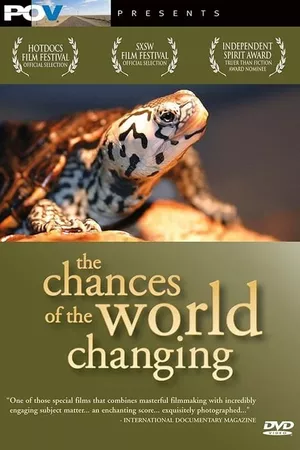 The Chances of the World Changing