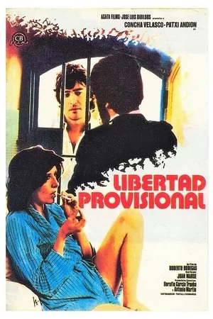 Libertad provisional