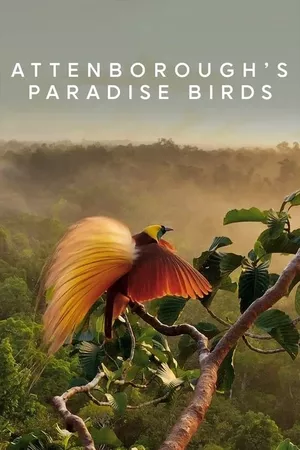 Attenborough's Paradise Birds