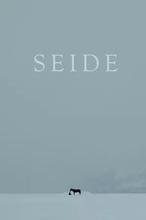 Seide