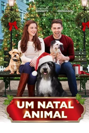 Um Natal Animal