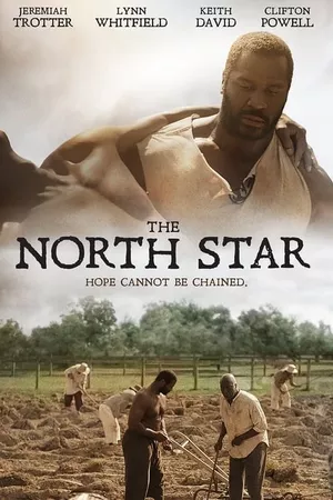 The North Star