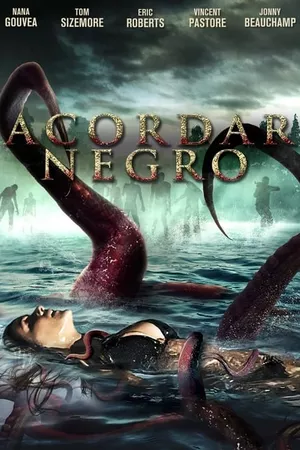 Acordar Negro