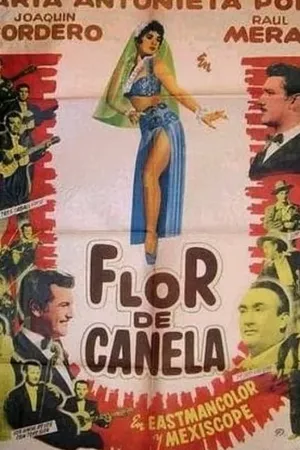 Flor de canela