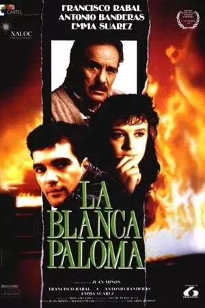 A Paloma Branca