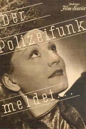 Der Polizeifunk meldet