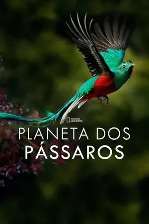 Planeta dos Pássaros