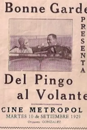 Del pingo al volante