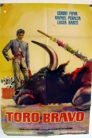 Toro bravo