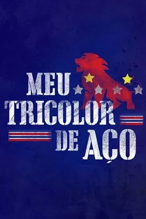 Meu Tricolor de Aço