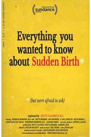 Everything You Wanted to Know About Sudden Birth (but were afraid to ask)