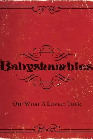 Oh! What a Lovely Tour - Babyshambles Live