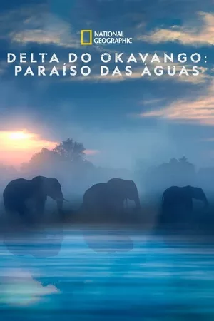 Delta do Okavango: Paraíso das Águas