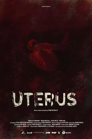 Uterus