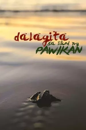 Dalagita sa Likod Pawikan