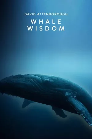 Whale Wisdom