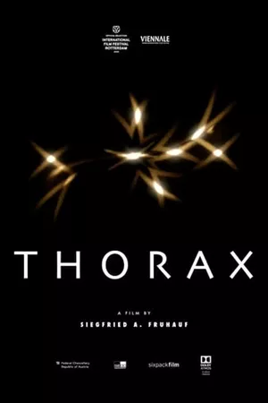 Thorax