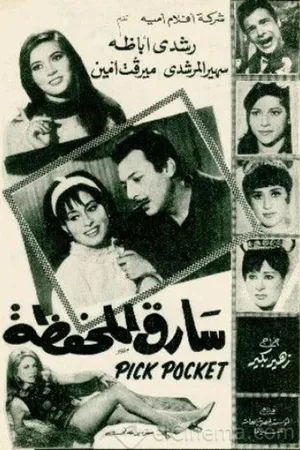 Sareq El-Mahfaza