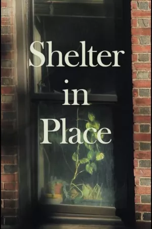 Shelter in Place