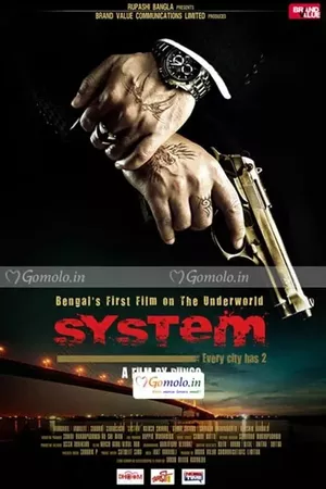 System