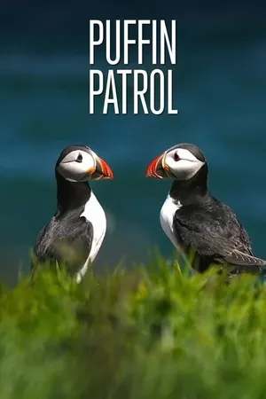 Puffin Patrol