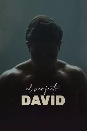 The Perfect David