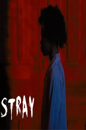 Stray