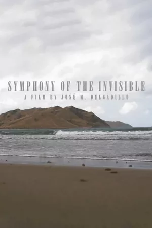 Symphony Of The Invisible