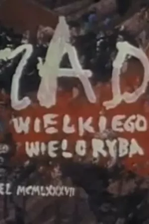 Zad wielkiego wieloryba