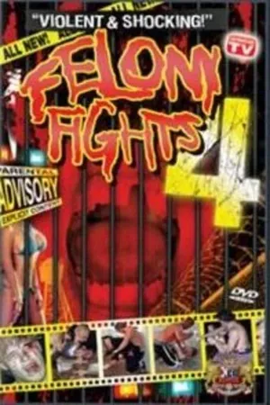 Felony Fights 4: Down and Dirty