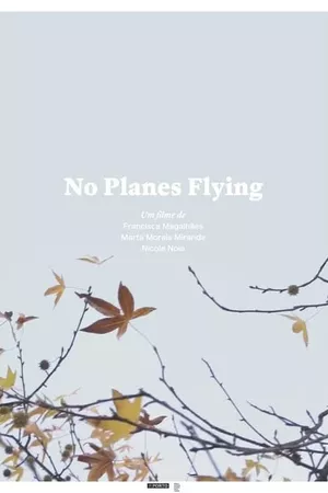 No Planes Flying