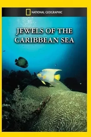 Jewels of the Caribbean Sea