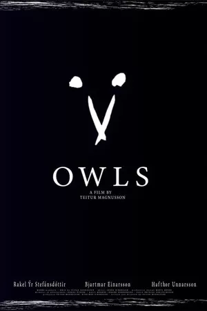 Owls